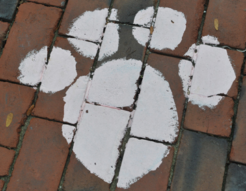 Join a club and leave your mark at TU! Paw print on sidewalk
