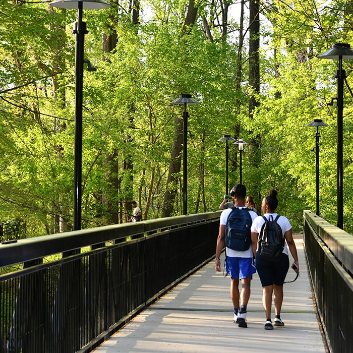 pedestrian path