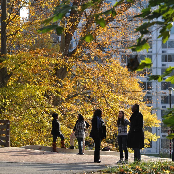 TU campus
