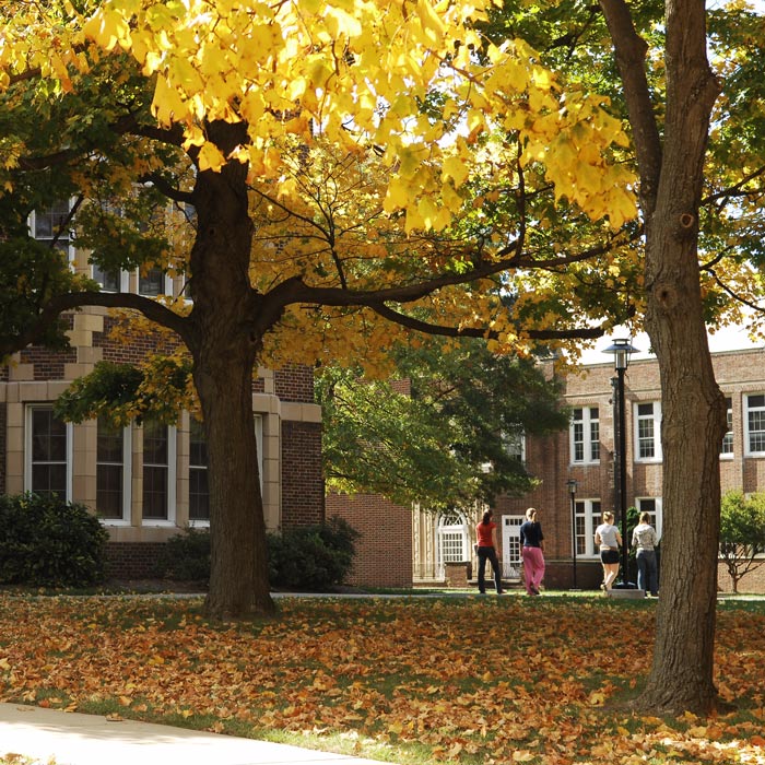 students on campus in fall
