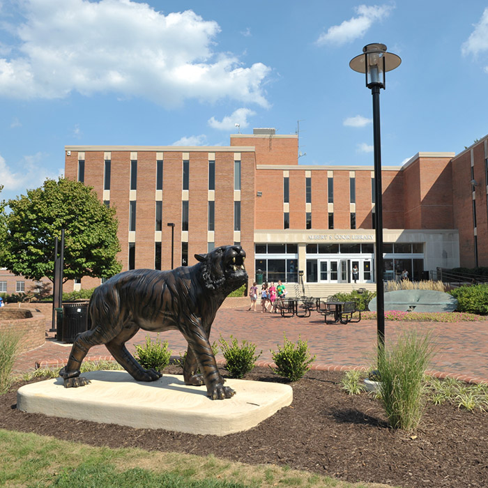 Outside of Cook library