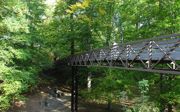 The Glen Arboretum in spring