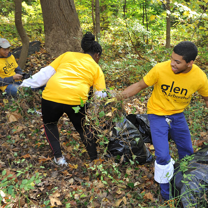 students maintaining the glen