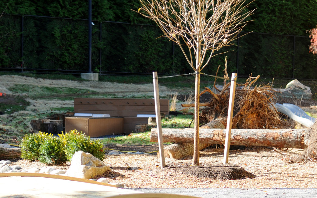 Playscape