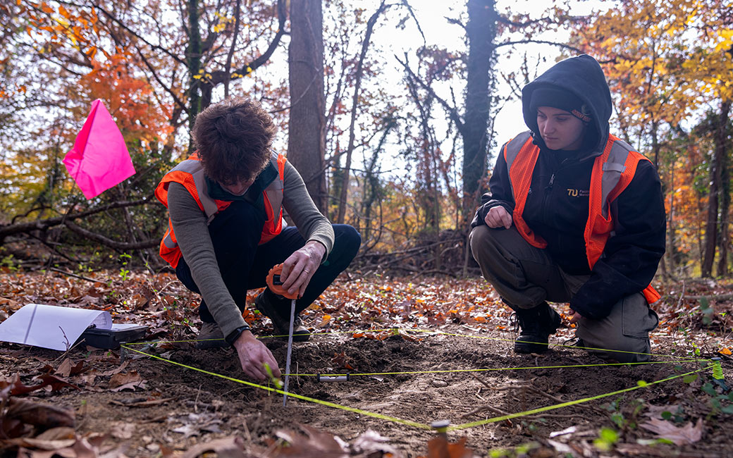 Staff and students excavating a unit