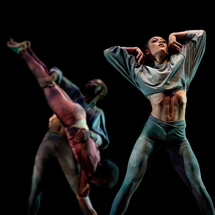 A dancer in a jewel-toned costume strikes a dramatic pose