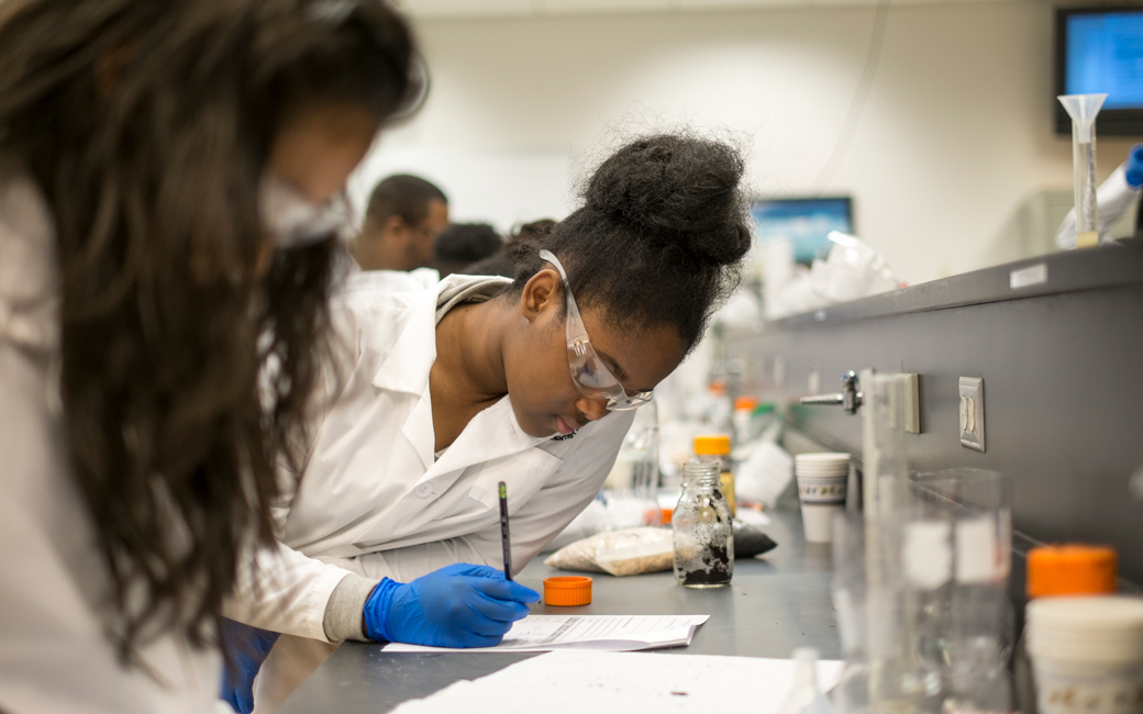Students in raingarden lab