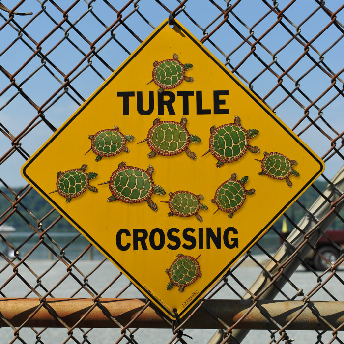 turtle crossing sign