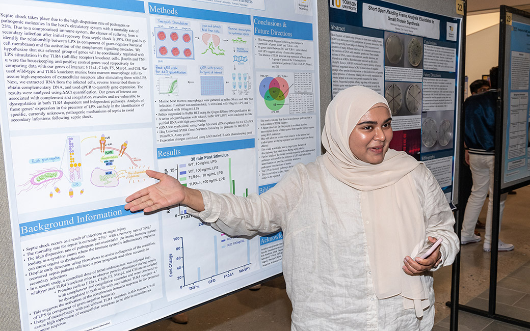 Someone presenting a scientific poster