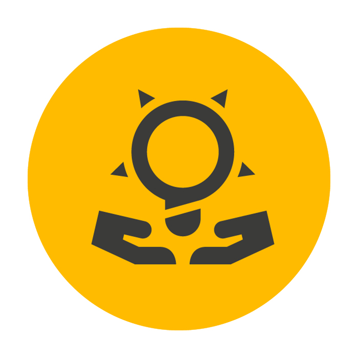 program icon