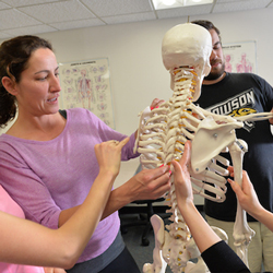 students with skeleton model