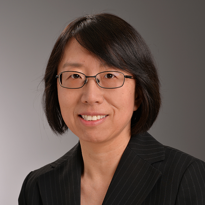 jinjuan heidi feng