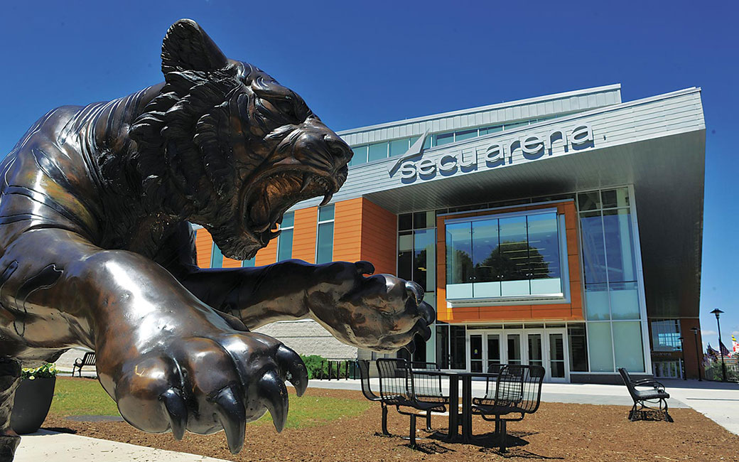 Tiger Statue
