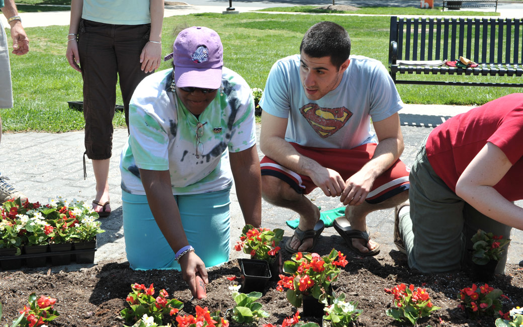 adults gardening