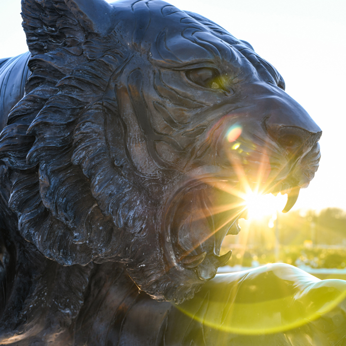 tiger statue