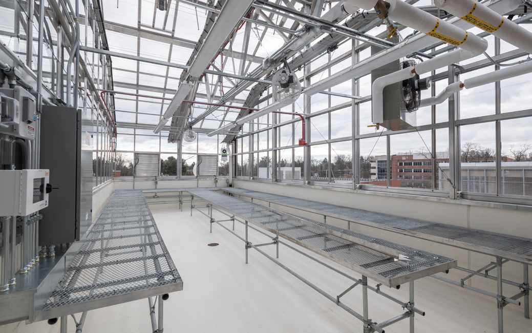 Science Complex rooftop