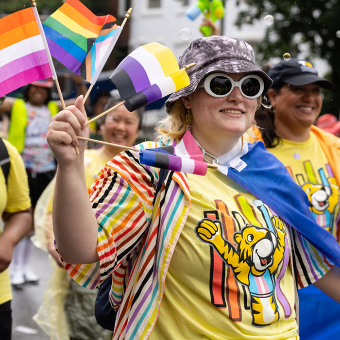 pride flags