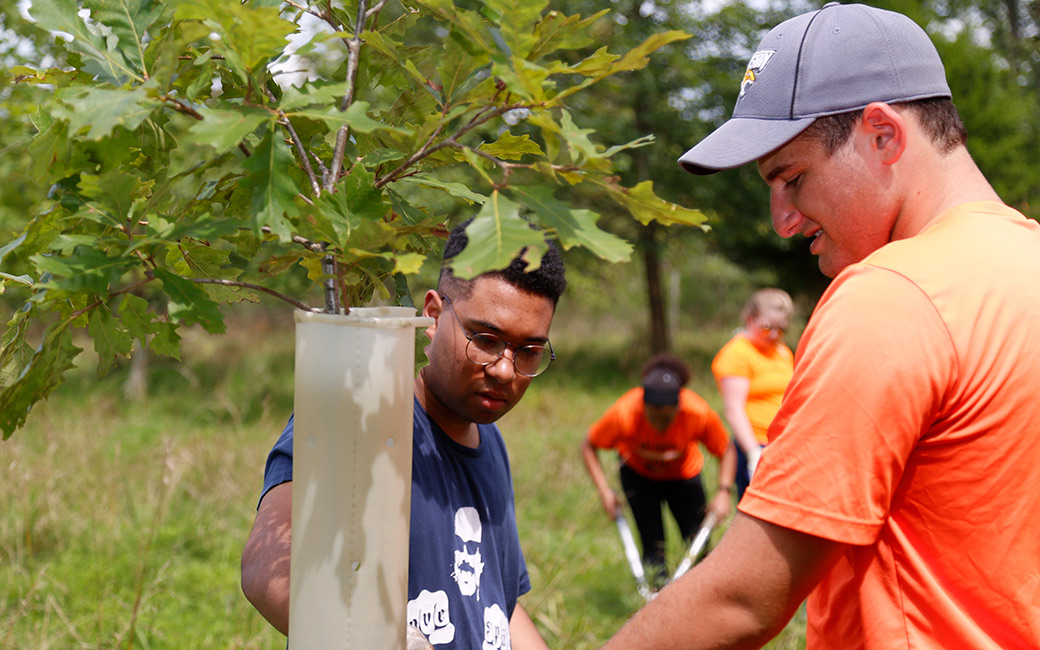 Students look at a tree that they planted.